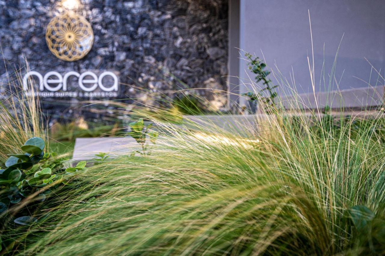 Nerea Boutique Suites Karystos Caristo Exterior foto